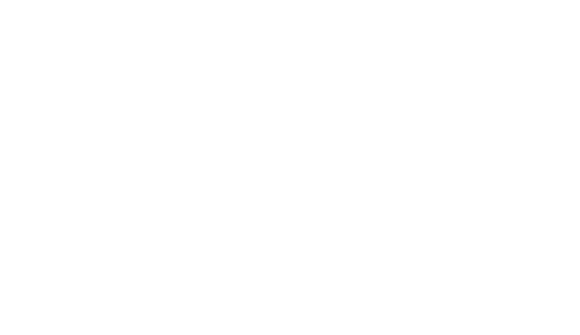 Academia Festival Viva Voz